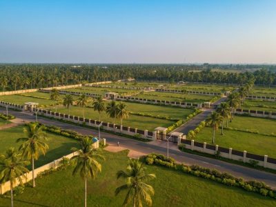 WhatsApp Image 2026-02-24 at 4.11.49 PM (2)