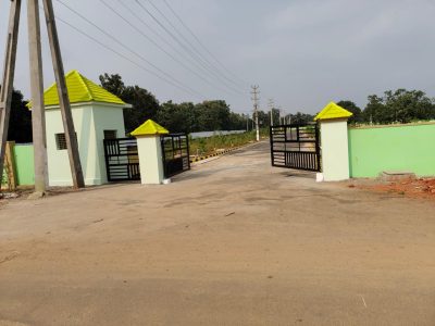 WhatsApp Image 2026-03-07 at 8.01.39 PM